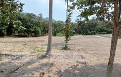 800 Sqm of Garden View Land, Lamai
